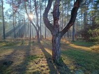 IMG 20250119 133737693 HDR