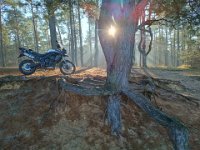 IMG 20250119 133903134 HDR