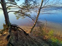 IMG 20250119 141459258 HDR